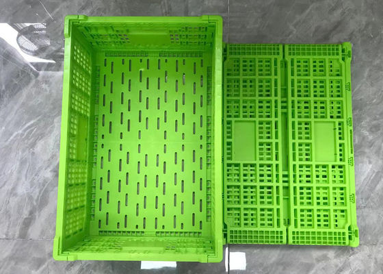 緑の転換の網の基盤のライト級選手が付いている折り畳み式のプラスチック木枠