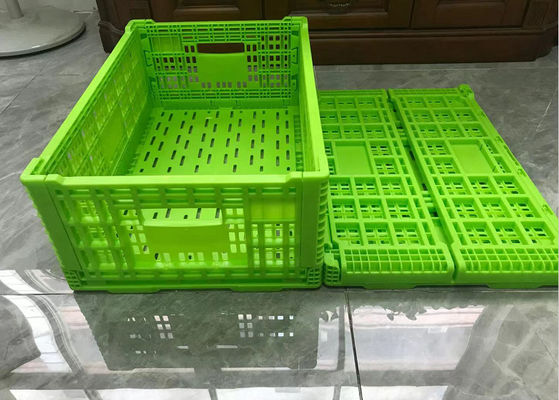 緑の転換の網の基盤のライト級選手が付いている折り畳み式のプラスチック木枠